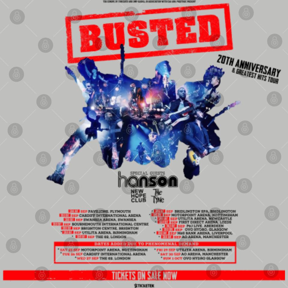 Busted 2023 Tour Double Sided Hoodies, Music Band Double Sided Hoodies ...
