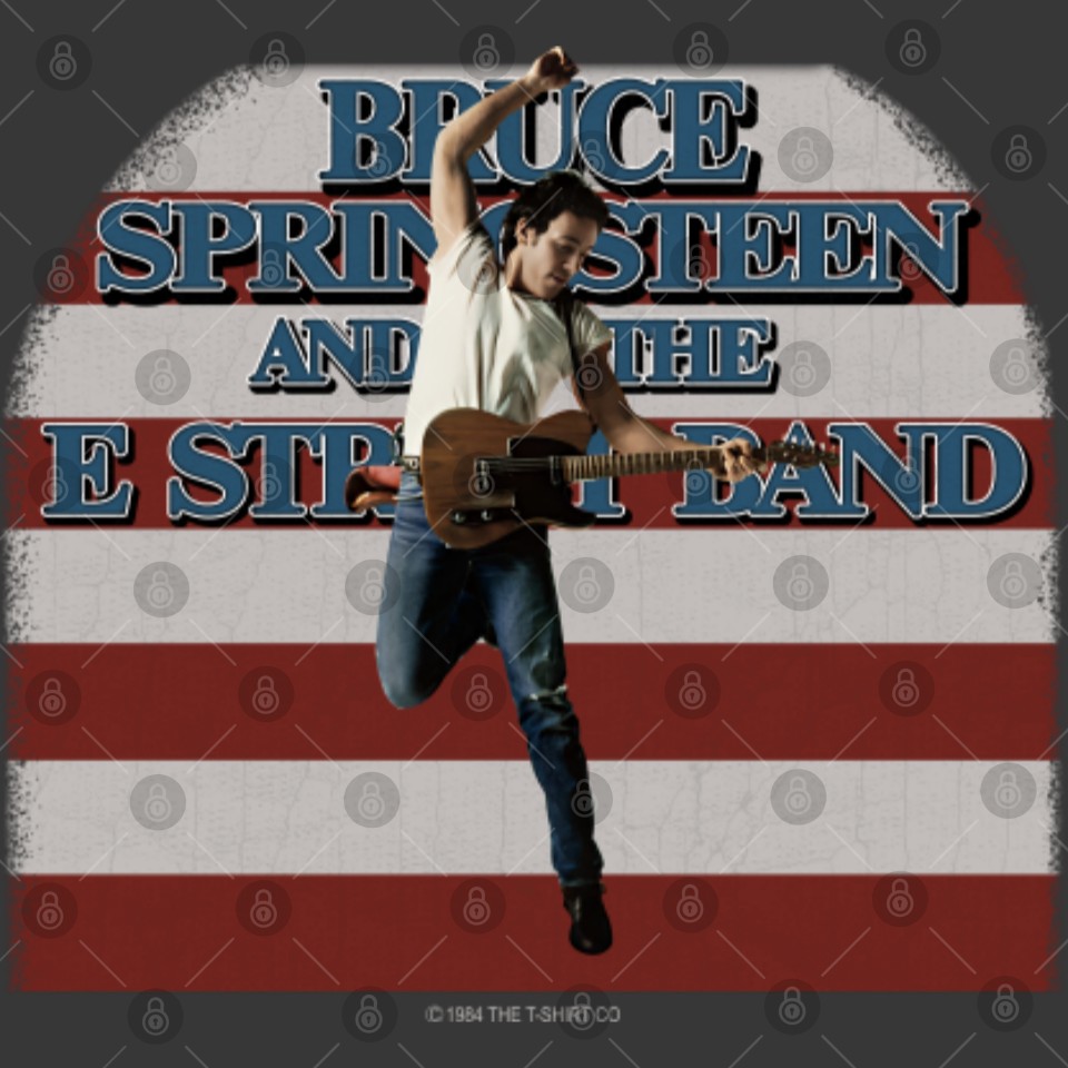 Vintage BRUCE SPRINGSTEEN & The E Street Band 1984-85 World Tour ...