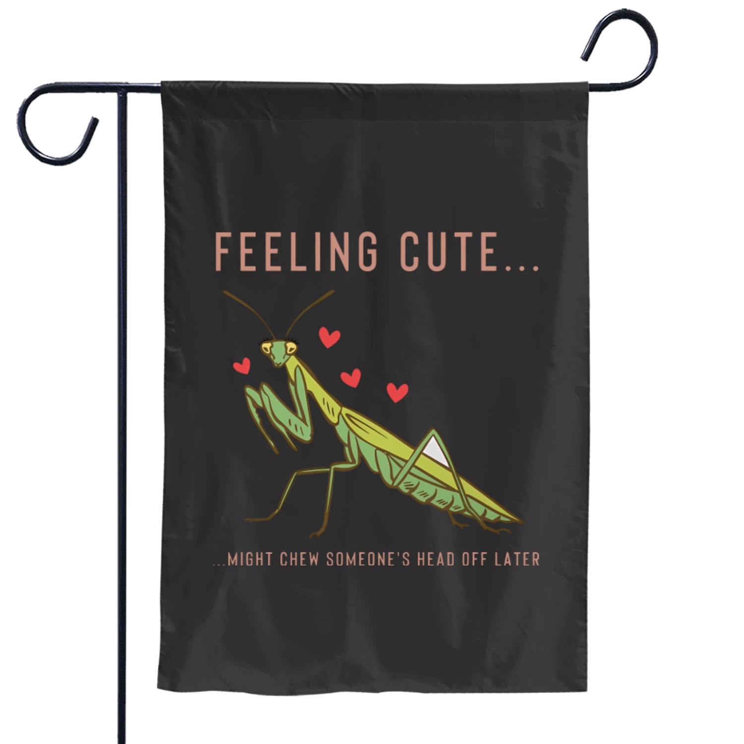 Praying Mantis Funny Entomologist Insect Prints Garden Flags