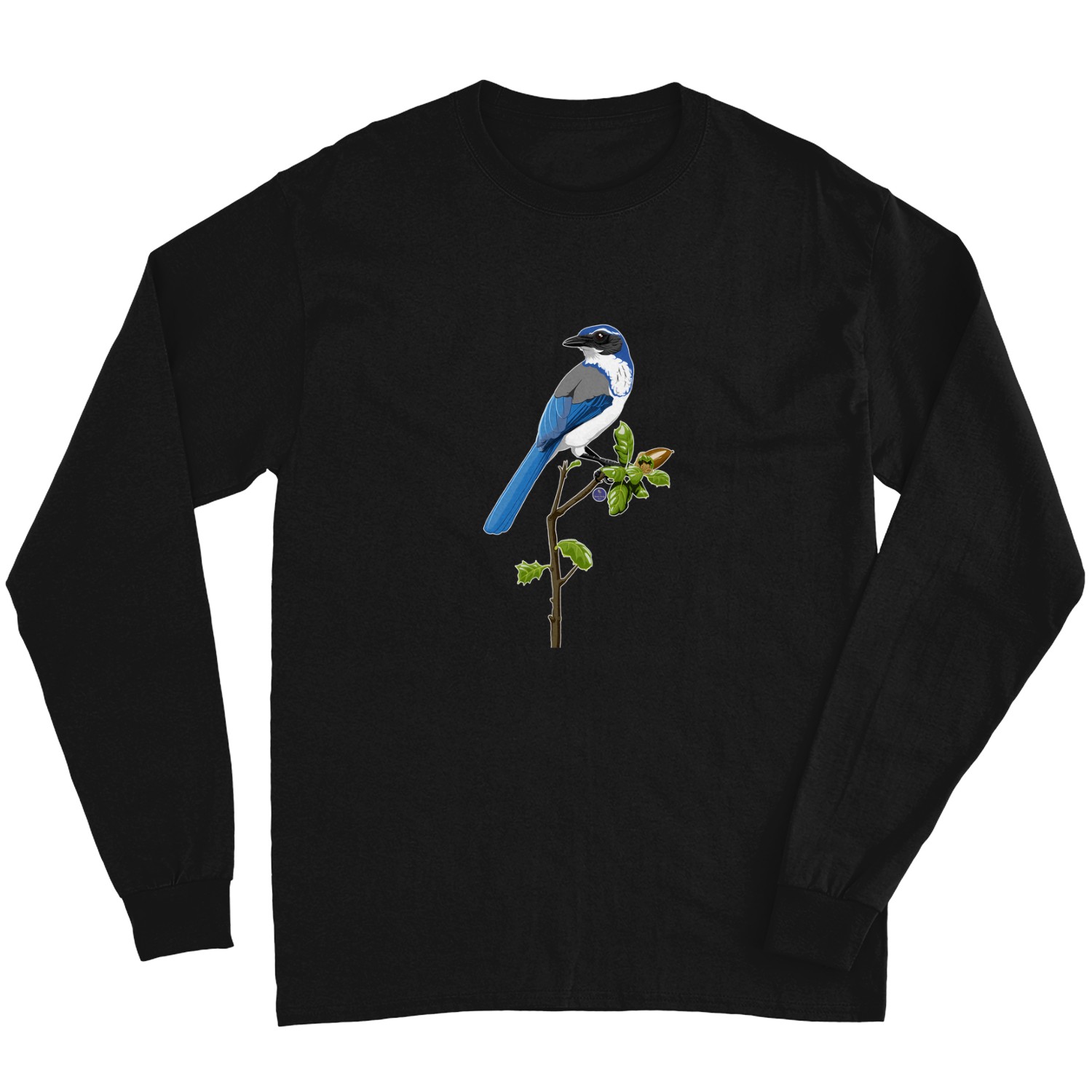 California Scrub-jay T-shirt Long Sleeves