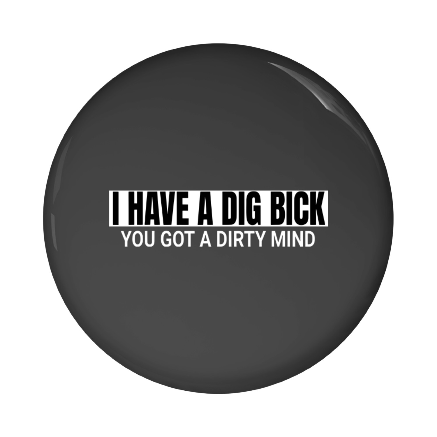 Dig Bick Pin Buttons Mens I Have A Dig Bick Funny Adult Humor Sarcastic