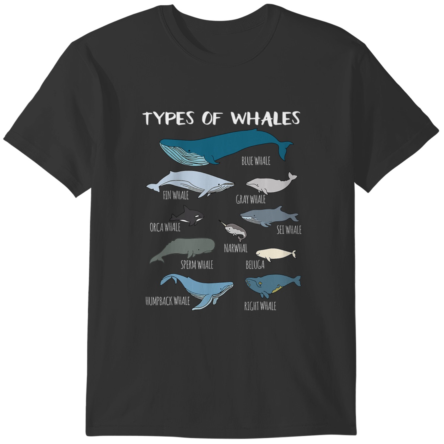 Types Of Whales Cute Ocean Mammals Guide T Shirt