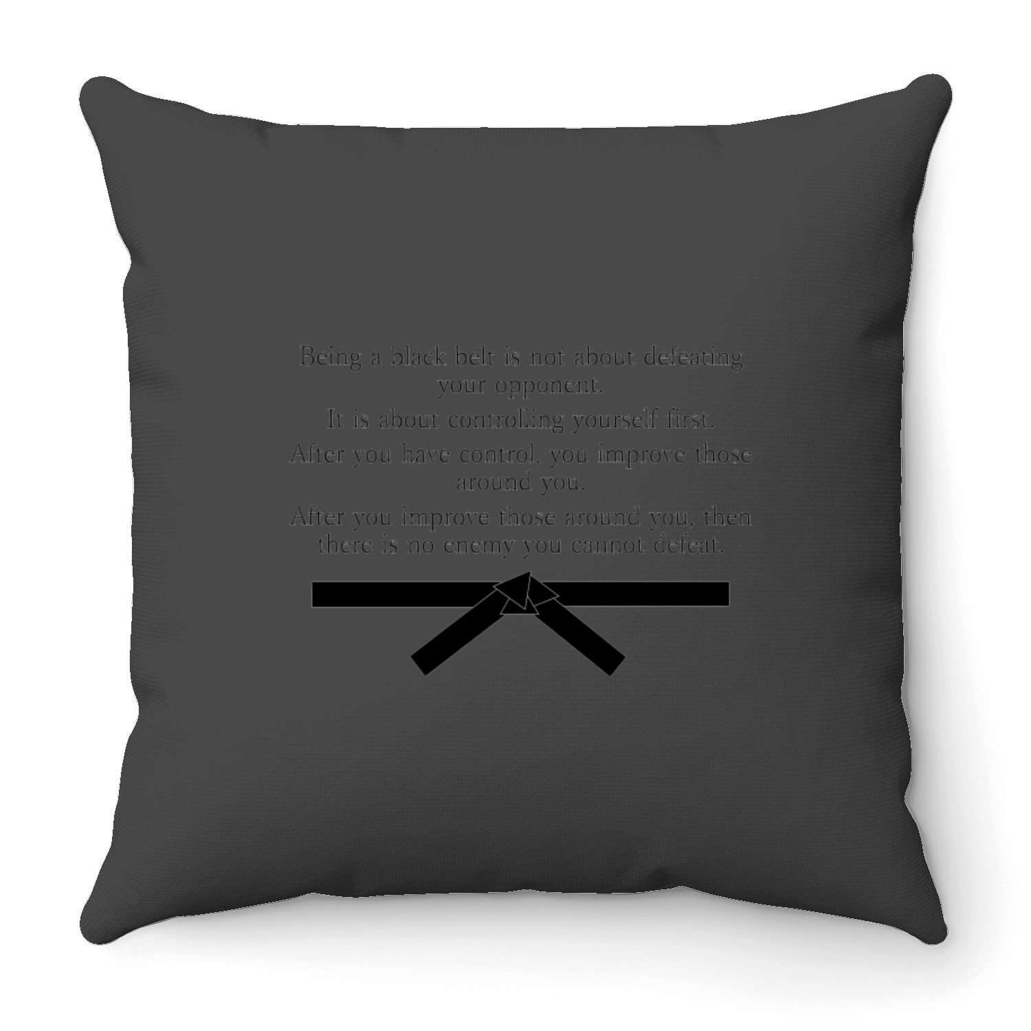 On Being A Black Belt Throw Pillows